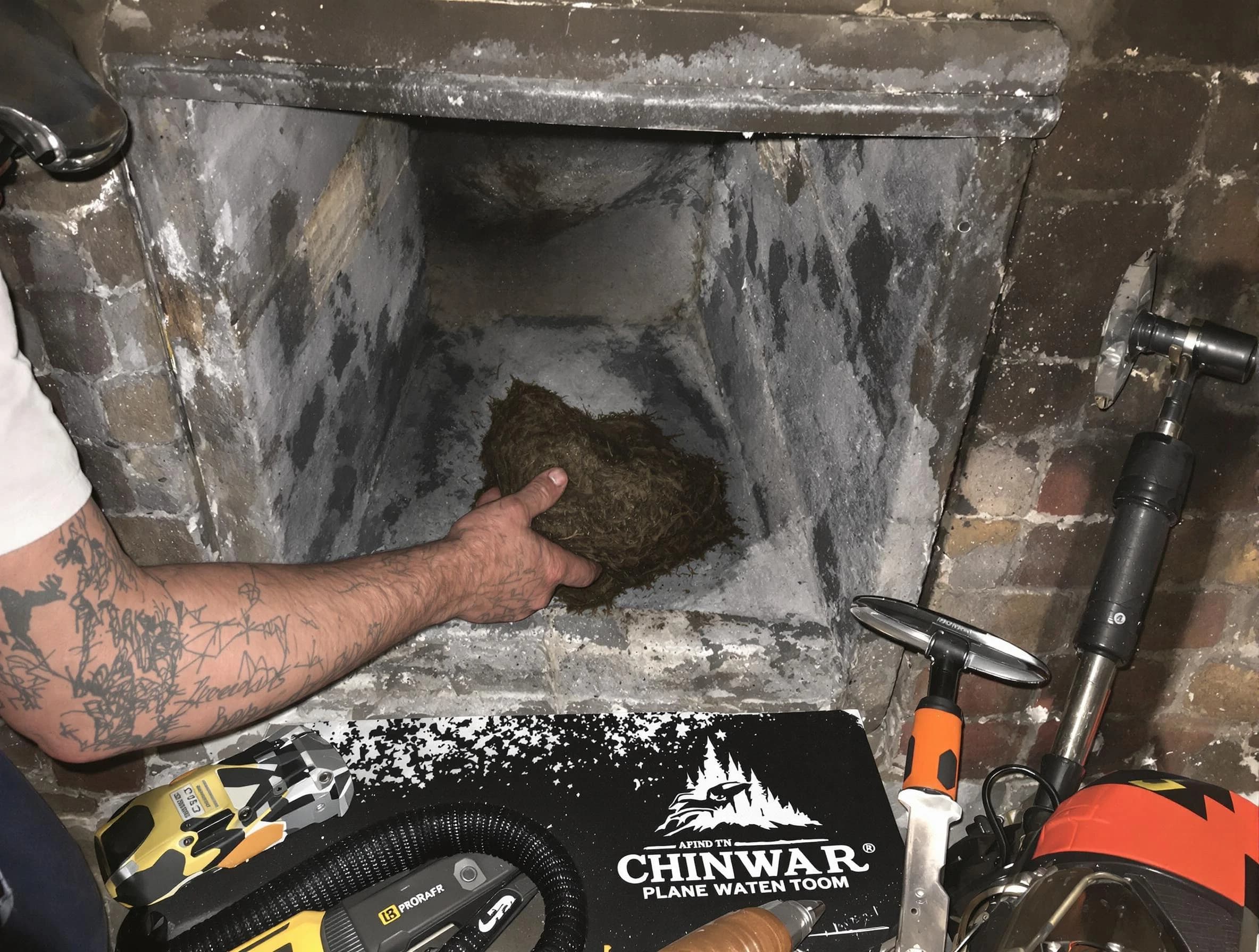 Rockwood Chimney Sweep safely removing debris and screening chimney in Rockwood, VA